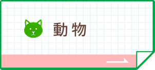 動物