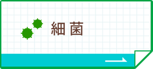 細菌