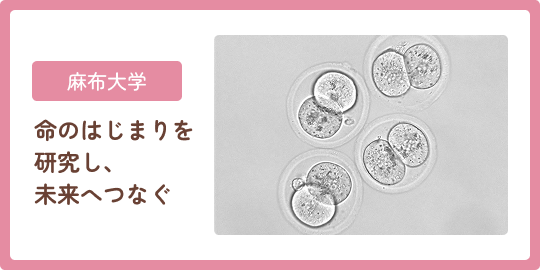 麻布大学 命のはじまりを研究し、未来へつなぐ