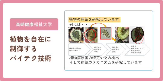 高崎健康福祉大学 植物を自在に制御するバイオ技術