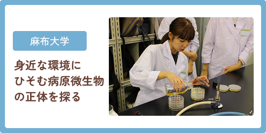 麻布大学 身近な環境にひそむ病原微生物の正体を探る