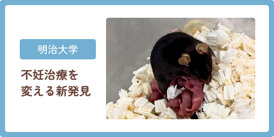 明治大学 不妊治療を変える新発見